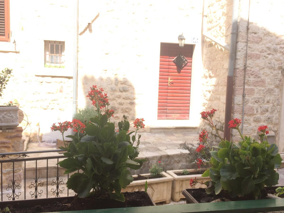 Apartment Ozana Kotor Extérieur photo